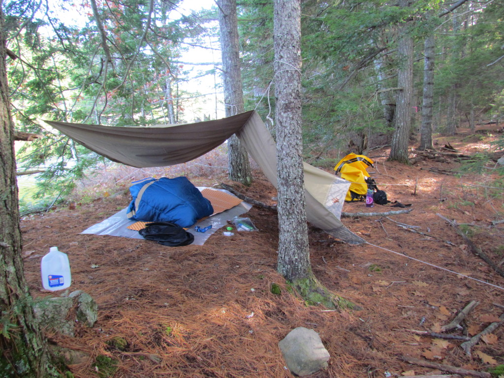 Photo by Eleanor Paasche: Chewonki students take a solo out in the woods